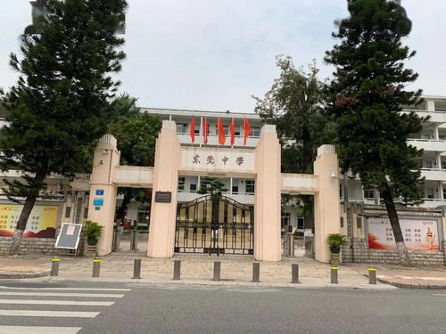 东莞清溪高中升大专华南农业大学