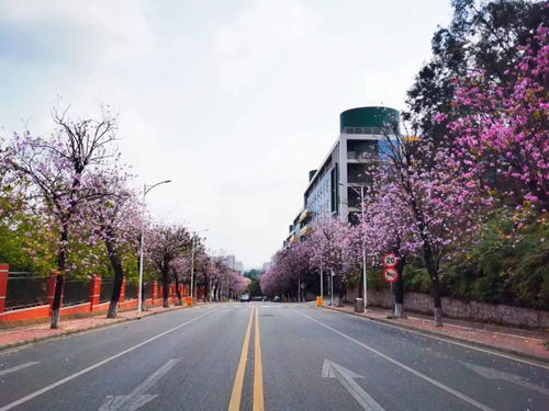 华南农业大学 专业排名