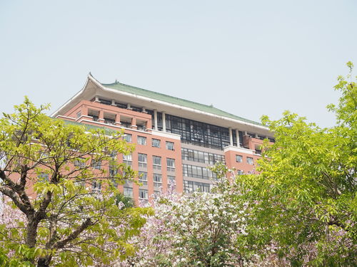 华南农业大学2009大专