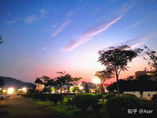 华南农业大学it专业就业前景