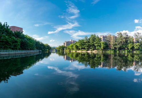 华南农业大学专业志愿顺序