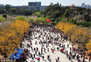 华南农业大学专业是天坑专业吗