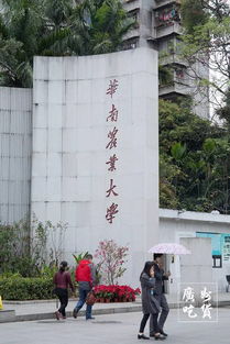 华南农业大学传媒专业