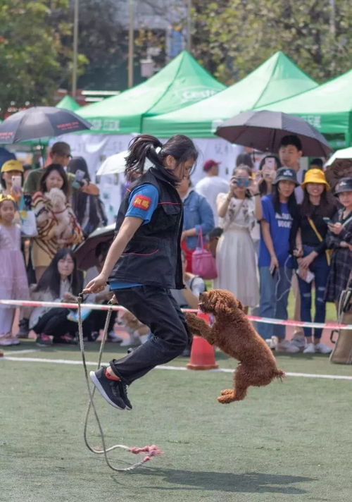 华南农业大学农事训练专业