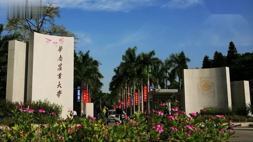 华南农业大学动漫图片专业